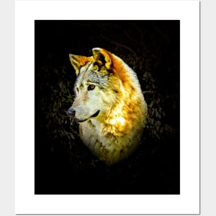 Wolf portrait Posters and Art